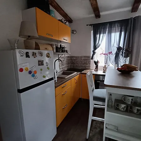 Cattleya Apartment Novigrad (Istria)
