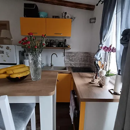 Apartment Cattleya