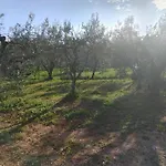 Apartment Cattleya Novigrad Istria