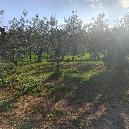 Apartman Cattleya Novigrad (Istria)
