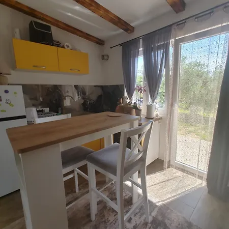 Cattleya Apartment Novigrad (Istria)